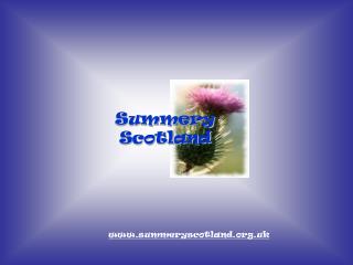 Summery Scotland