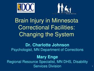 Brain Injury in Minnesota Correctional Facilities: Changing the System