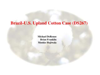 Brazil-U.S. Upland Cotton Case (DS267)