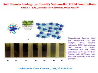 Gold Nanotechnology can Identify Salmonella DT104 from Lettuce