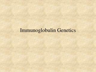 Immunoglobulin Genetics