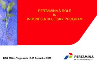 PERTAMINA’S ROLE IN INDONESIA BLUE SKY PROGRAM