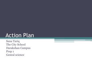 Action Plan