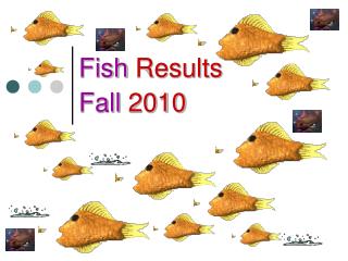 Fish Results Fall 2010