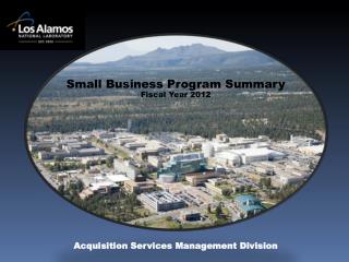 Small Business Program Summary