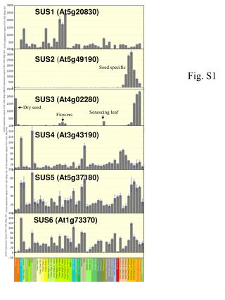 SUS2 ( At5g49190)