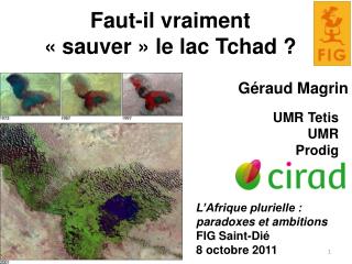 Faut-il vraiment « sauver » le lac Tchad ?