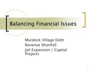 Balancing Financial Issues