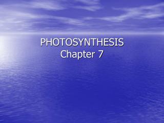 PHOTOSYNTHESIS Chapter 7