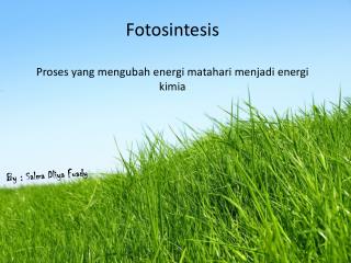 Fotosintesis Proses yang mengubah energi matahari menjadi energi kimia