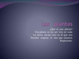 Las plantas