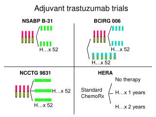 Adjuvant trastuzumab trials