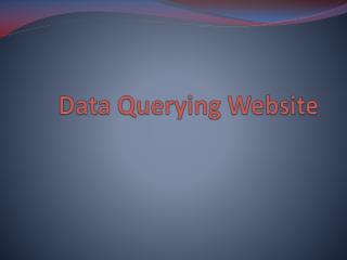 Data Querying Website