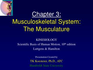 Chapter 3: Musculoskeletal System: The Musculature