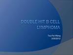 Double Hit B Cell Lymphoma