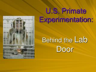 U.S. Primate Experimentation: