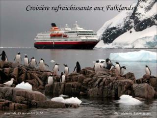 Croisière rafraichissante aux Falklands