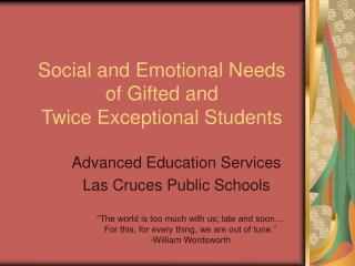 Social and Emotional Needs of Gifted and Twice Exceptional Students