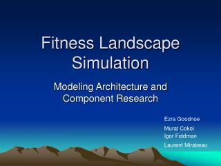Fitness Landscape Simulation