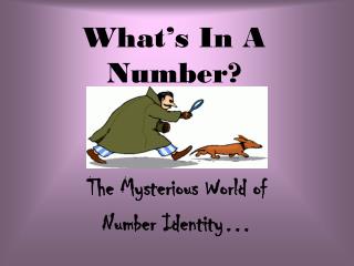 What’s In A Number?