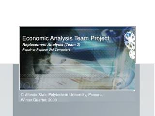 Economic Analysis Team Project