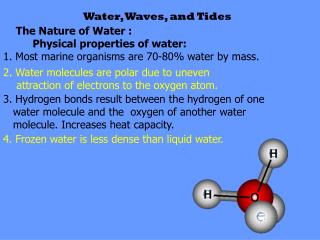 Water, Waves, and Tides