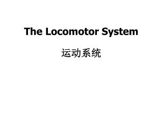 The Locomotor System 运动系统