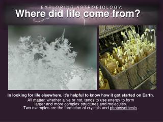 In looking for life elsewhere, it’s helpful to know how it got started on Earth.