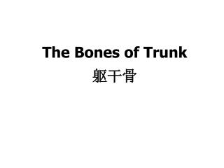 The Bones of Trunk 躯干骨