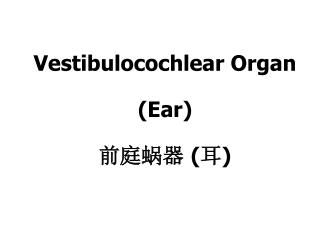 Vestibulocochlear Organ (Ear) 前庭蜗器 ( 耳 )