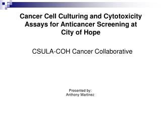 Cancer Cell Culturing and Cytotoxicity Assays for Anticancer Screening at City of Hope