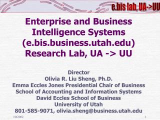 e.bis Research Focus