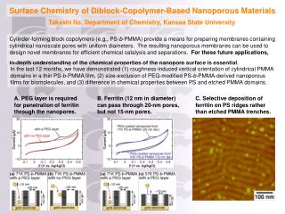 Surface Chemistry of Diblock-Copolymer-Based Nanoporous Materials