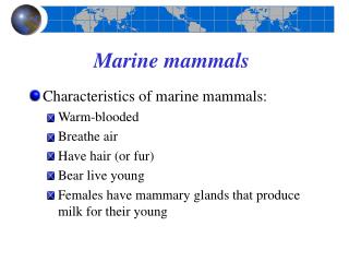 Marine mammals