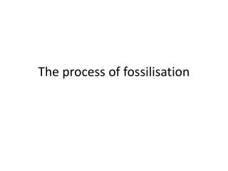 The process of fossilisation