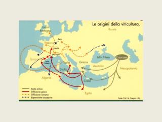 Art. 2 			 Classification and legal Recognition of Wine Roads