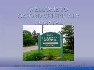 Welcome to Oxford Veterinary Hospital