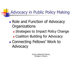 Advocacy in Public Policy Making