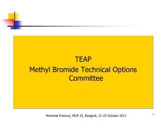 TEAP Methyl Bromide Technical Options Committee
