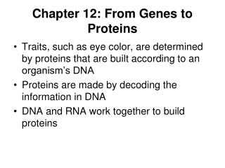 Chapter 12: From Genes to Proteins