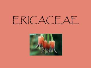 ERICACEAE