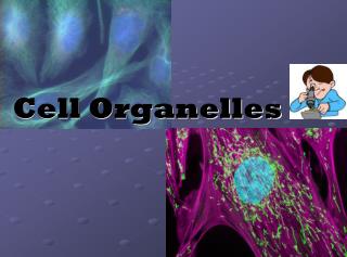 Cell Organelles