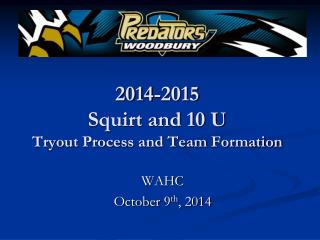 2014-2015 Squirt and 10 U Tryout Process and Team Formation