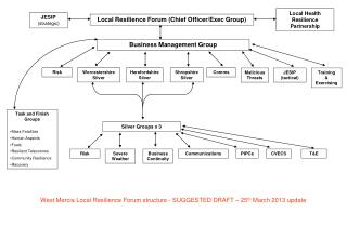 Local Resilience Forum (Chief Officer/Exec Group)