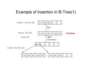 Example of Insertion in B-Tree(1)