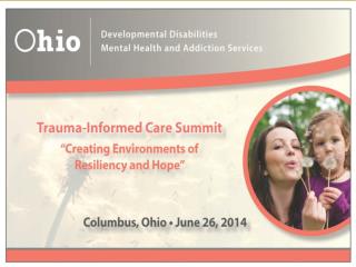Trauma Informed System of Care: Creating Environments of Resiliency and Hope