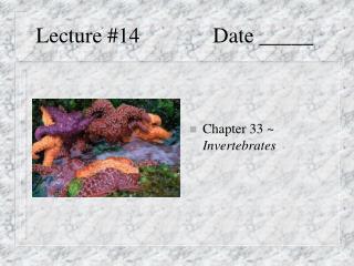 Lecture #14 		Date _____