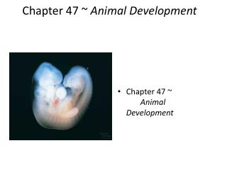 Chapter 47 ~	 Animal Development