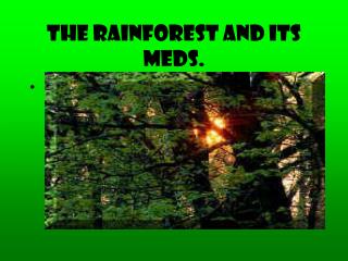 The Rainforest and its meds.