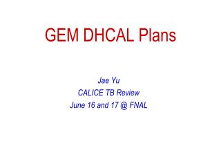 GEM DHCAL Plans